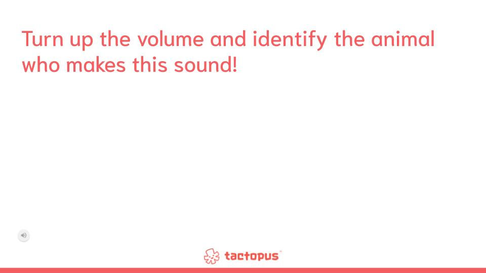 Sounds