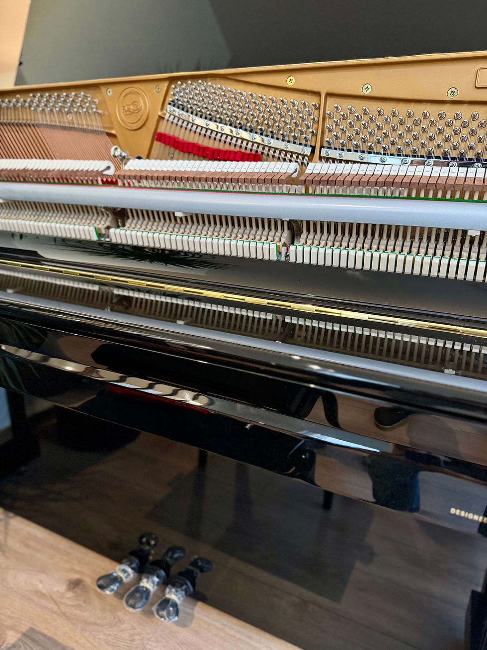 Miniature : Piano neuf ZIMMERMANN Studio S4 120