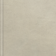 Shoreline Full Grain Leather.png