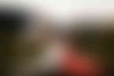 Family session at Pitt Lake BC