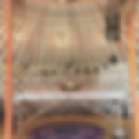 IMG_2028.jpeg