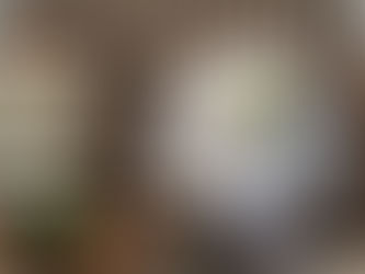 fotografia de casamento no rio de janeiro-foto criativa dos acessórios da noiva