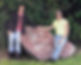 The rock.jpg