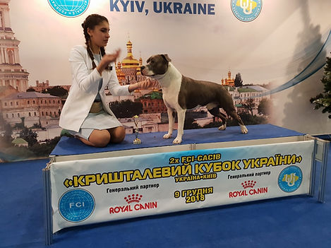 киев9.12..jpg