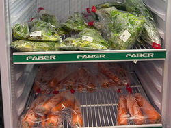 photo_2025-12-30_13-07-06