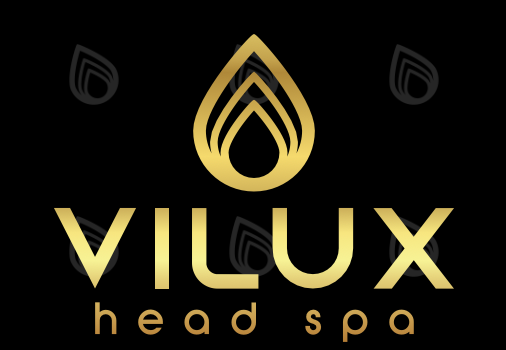LOGO VILUX HEAD SPA