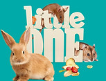 little one logo.jpg
