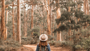 Stop Trying to Convince Others: Say What You Mean and Let Go