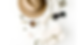 Copie de Orange Restaurant Services Website (20).png