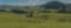 Web_farm copy.jpg