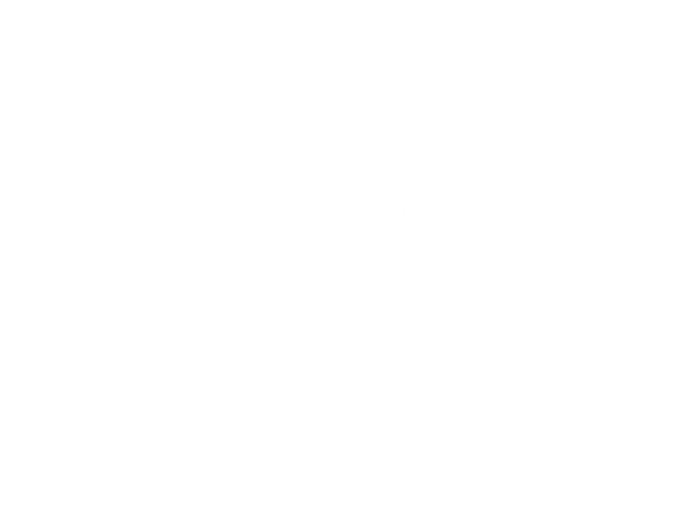 Logo_carrefour-proche-aidants.png