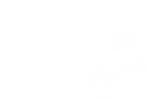 fondofloresblancas.png