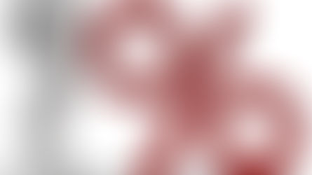 Nuolaida daugiavaikėms šeimoms