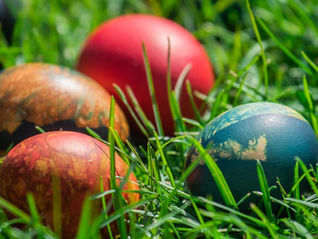 Treniruotės per velykų atostogas ( 03.30 - 04.06)