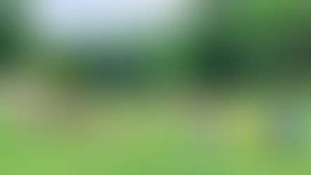 Stovyklų metas artėja!!!