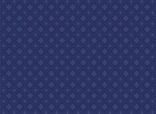 fond pattern_Plan de travail 1.jpg