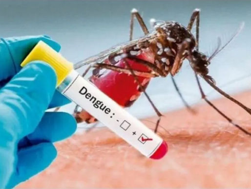 Audiência pública discute ações para conter avanço da dengue em SC