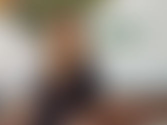 Influenza Aviária no Hemisfério Norte acende alerta no Brasil