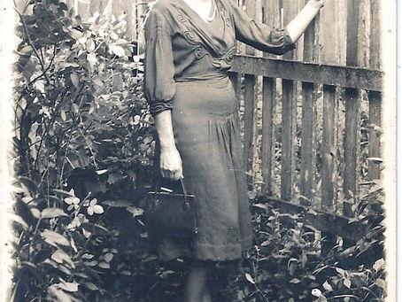 Canteiro do Conhecimento e o Cinderelo da Benedetta