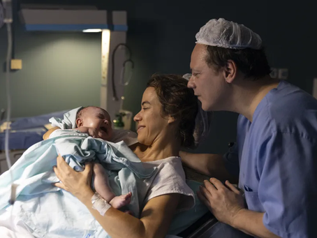 Zootopia 2 e Mãe Fora da Caixa chegam no Farol Shopping