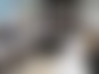 FIESC recebe embaixadora do Reino Unido no Brasil