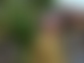 Urussanga perde fundador do Clube dos Treze e Lions