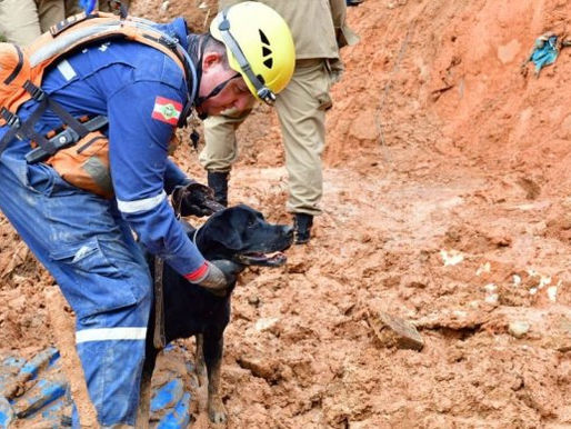 Equipe do CBMSC auxilia na localização de três vítimas em Pernambuco