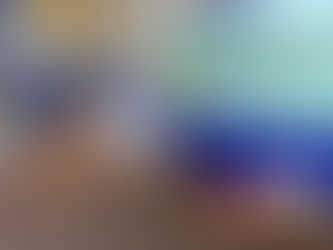 Pastor belga se aposenta da Polícia Rodoviária em SC