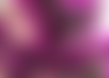 Primavera inicia na próxima terça-feira e é recepcionada com muitas flores