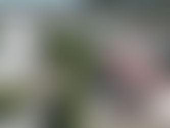 Iniciada atualização do cadastro imobiliário na Benedetta