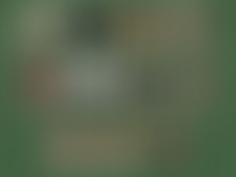 Comissão apresenta candidatas à Corte da Festa do Vinho 2026