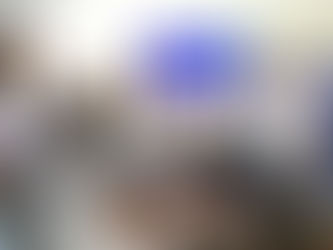 Programa de Desenvolvimento planeja ações e investimentos para o futuro de Urussanga