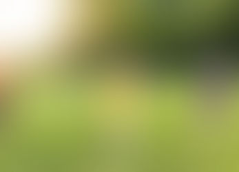 Aluno que teve o nariz quebrado na escola será indenizado