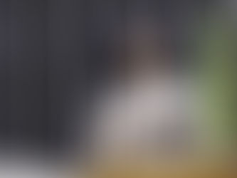 Geovania de Sá assume como titular o cargo de Deputada