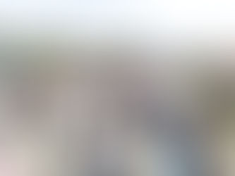 Vendas das empresas catarinenses às Forças Armadas crescem 20% em três anos