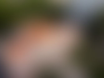 Museu Histórico de Santa Catarina recebe mais de 65 mil visitantes em 2025