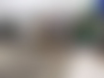 MARCO ANTONIO MEDEIROS