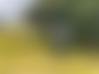 Prefeitura do Balneário Rincão utiliza drones para mapeamento de ruas