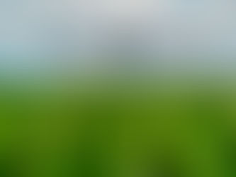 SC terá legislação para aviação agrícola