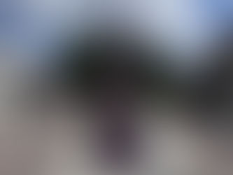 Natal Encantado com muitas atrações na Benedetta