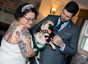 humanist wedding ceremony with pugs.