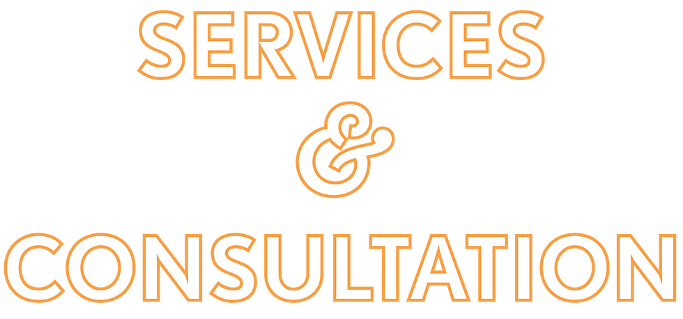 SERVICES-CONSULT-BOLDED Asset 22.png