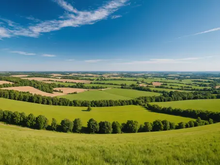 Escaping the Traps: How to Avoid and Overcome Life's Snares with God's Help