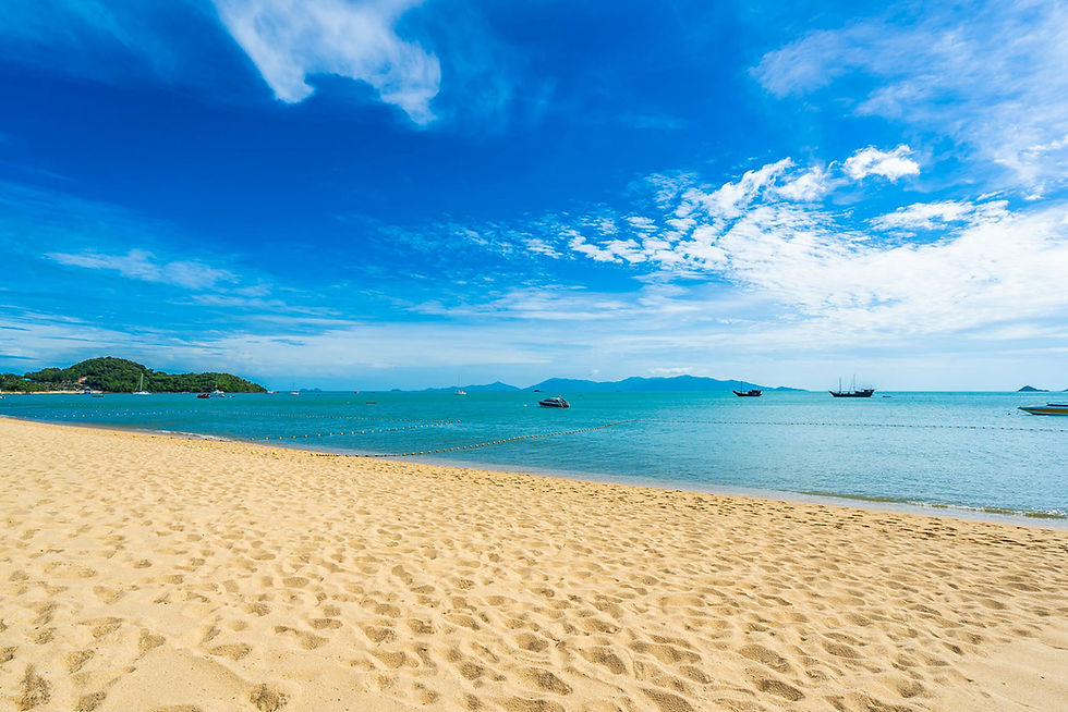 coco verde turismo-bg01.jpg