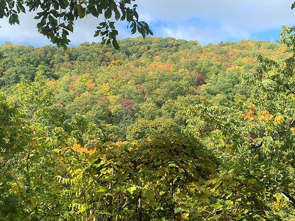 Smokey Mountains