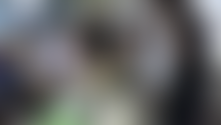 桐生市立南小学校 かつおぶし削り体験レポート