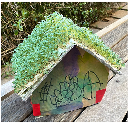 chia greenhouse.png