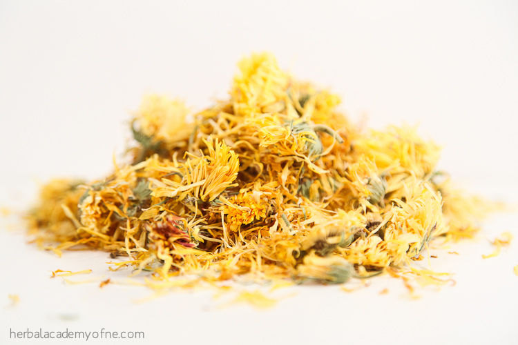 Thumbnail: Calendula - Calendula officinalis Monograph