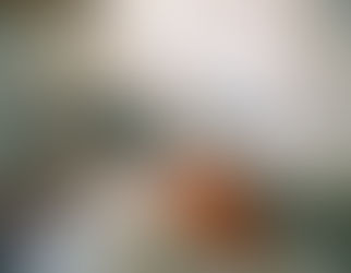 How will I make everything tie in together