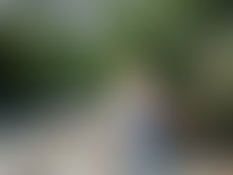 Digipak Analysis (1/2)